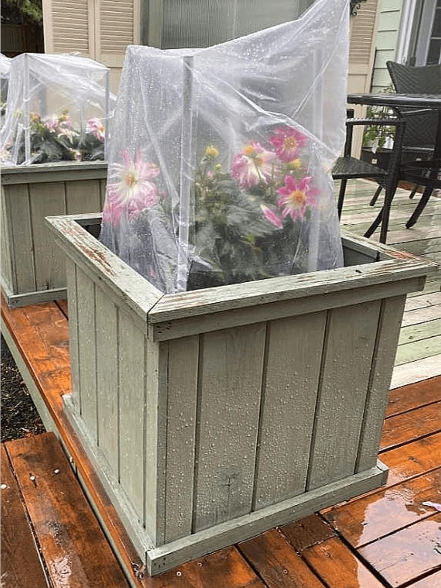 Green planter box on a brown wooden deck. 